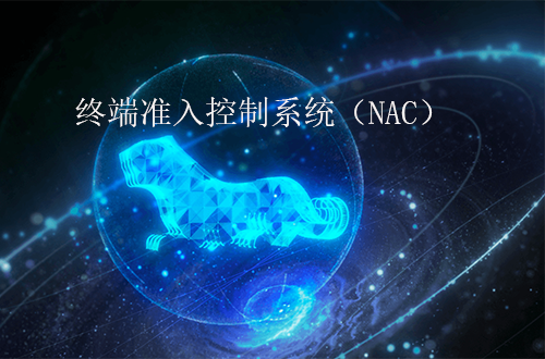 奇安信終端準入控制系統（NAC）