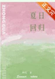 夏日回响小说免费阅读全文